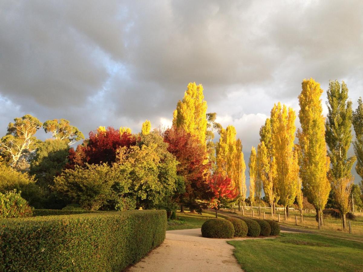 Glen Waverly Farmstay Glen Innes Kültér fotó