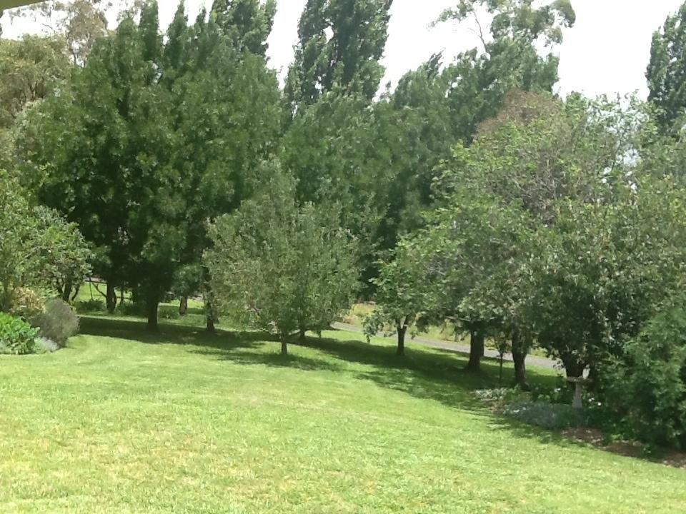 Glen Waverly Farmstay Glen Innes Szoba fotó