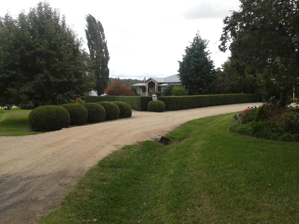 Glen Waverly Farmstay Glen Innes Kültér fotó