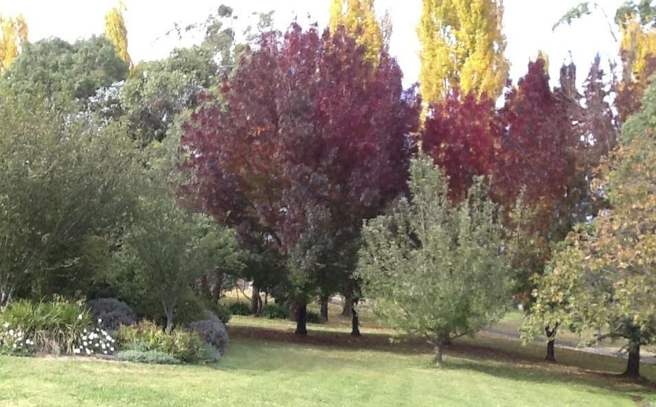 Glen Waverly Farmstay Glen Innes Szoba fotó
